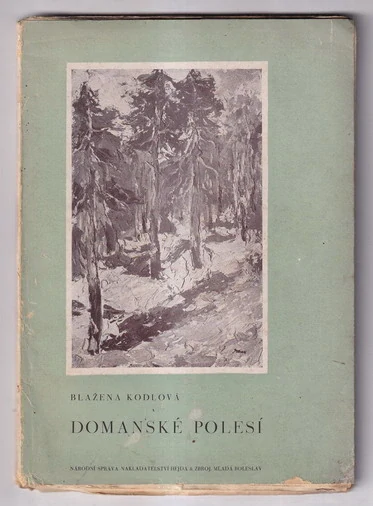 Domanské polesí