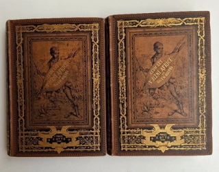 Sedm let v jižní Africe 1.+2. díl (rok 1880)