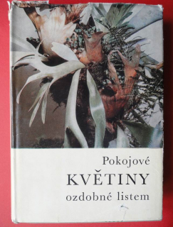 Pokojové květiny ozdobné listem