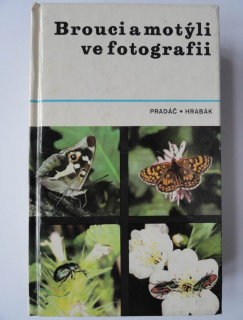 Brouci a motýli ve fotografii