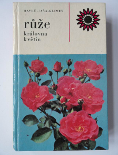 Růže, královna květin
