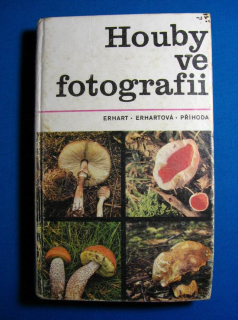 Houby ve fotografii