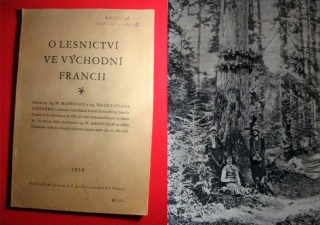 O LESNICTVÍ VE  VÝCHODNÍ FRANCII, 1930