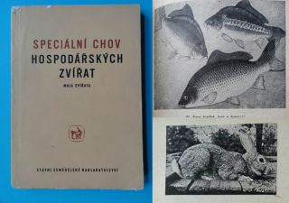 SPECIÁLNÍ CHOV HOSPODÁŘSKÝCH ZVÍŘAT, MALÁ ZVÍŘATA