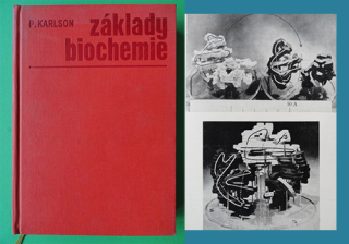 ZÁKLADY BIOCHEMIE
