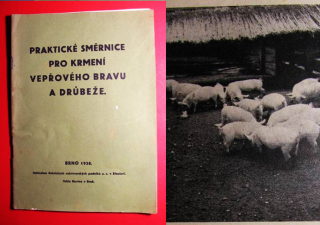  PRAKTICKÉ SMĚRNICE PRO KRMENÍ VEPŘOVÉHO BRAVU A DRŮBEŽE