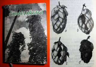 CHMELAŘSTVÍ