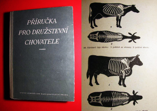 PŘÍRUČKA PRO DRUŽSTEVNÍ CHOVATELE