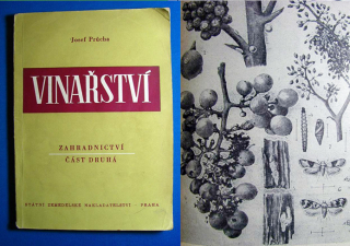 VINAŘSTVÍ