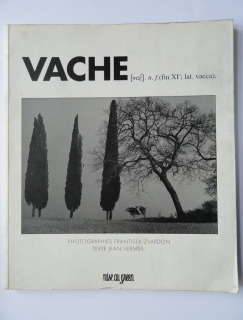 VACHE 