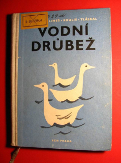 Vodní drůbež