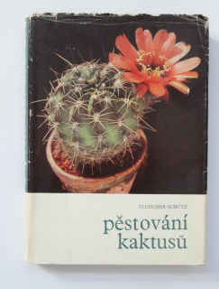 Pěstování kaktusů