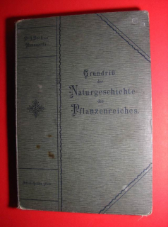 Grundrisz der Naturgeschichte des Pflanzenreiches 1905