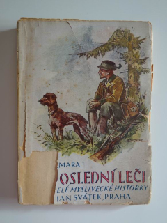 V poslední leči