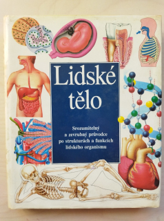 Lidské tělo