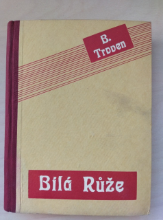 Bílá růže