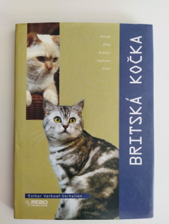 Britská kočka