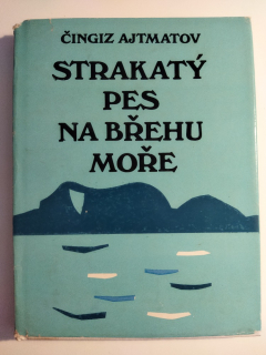 Strakatý pes na břehu moře