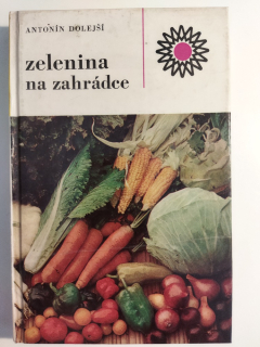 Zelenina na zahrádce