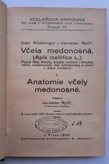Včela medonosná - Anatomie včely medonosné (1926)