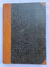 Časopis Radioamatér 1931 (X. ročník) 