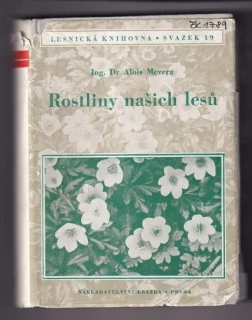 Rostliny našich lesů